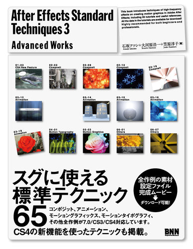 After Effects Standard Techniques3 - Advanced Works -